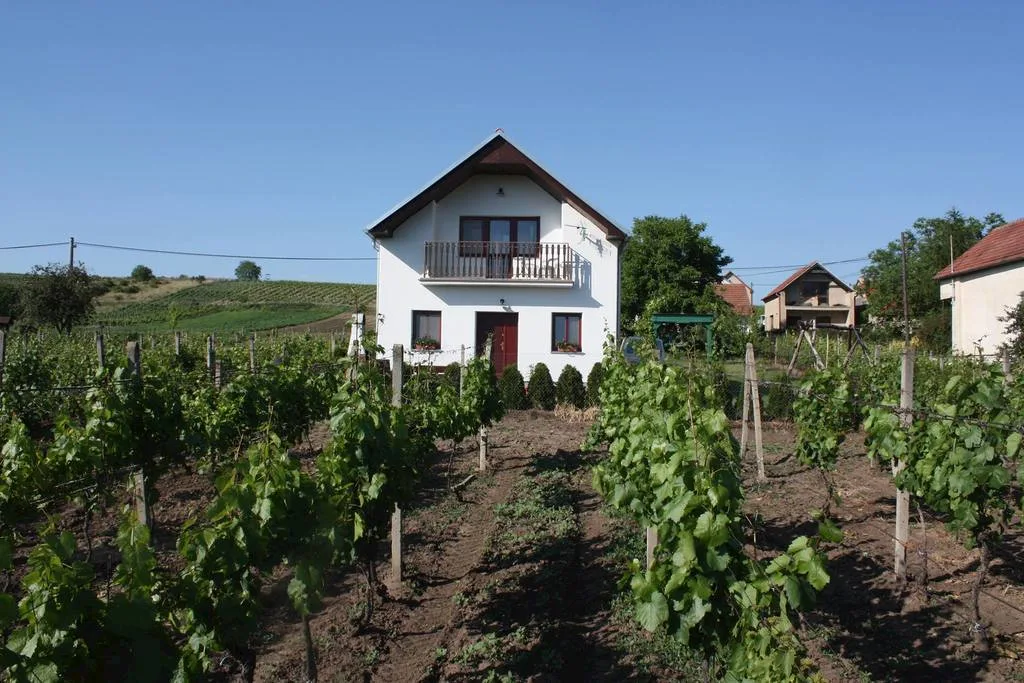 Ubytování Obzor — DOMEK w Velké Bílovice