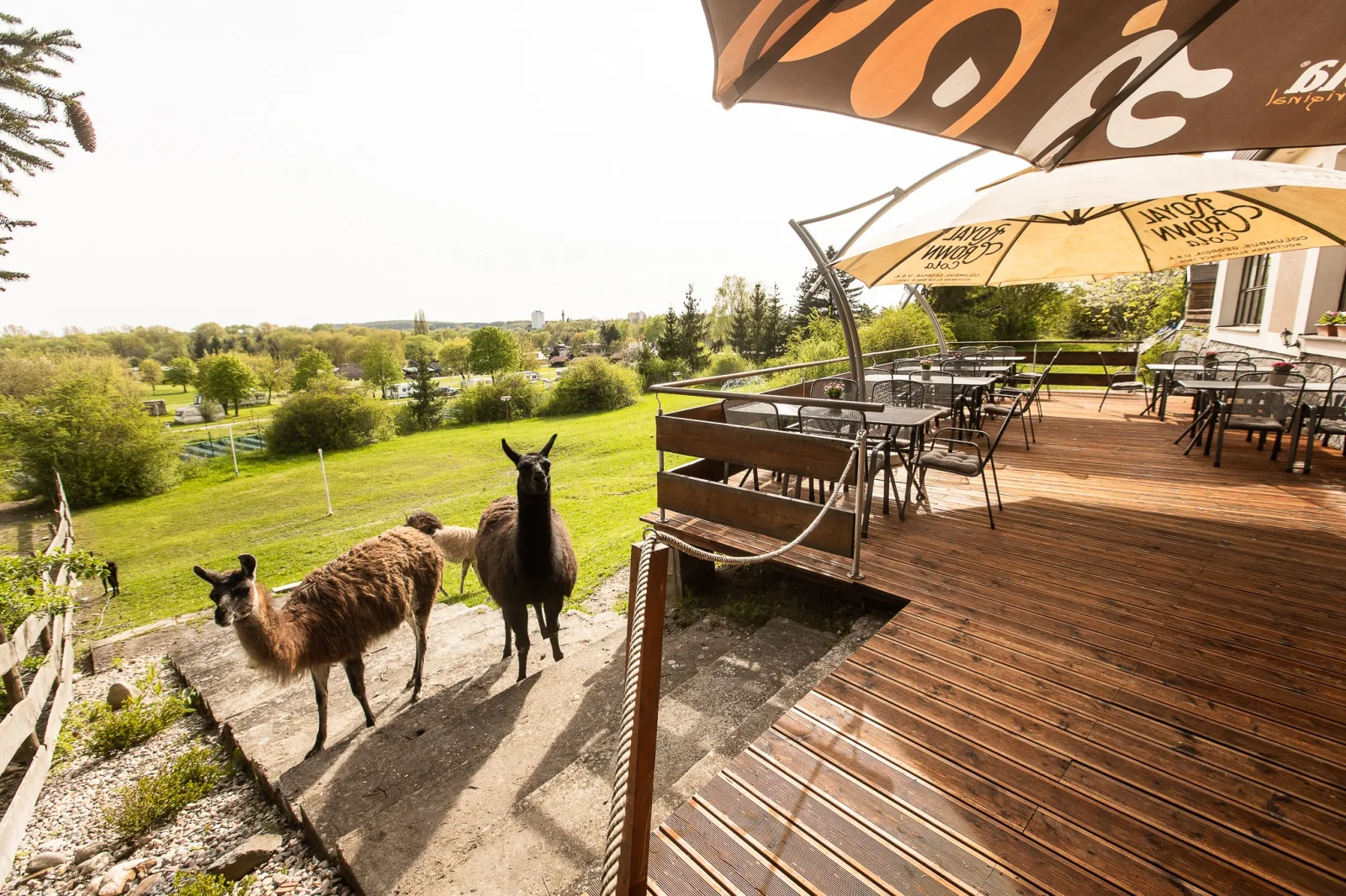 Hotel Rozkoš — HOTEL v obci Česká Skalice